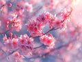 a branch of flowering sakura