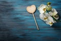 White Orchid on blue wooden background Royalty Free Stock Photo