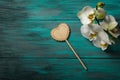 White Orchid on blue wooden background Royalty Free Stock Photo