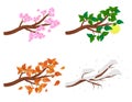 Branch in four seasons - spring, summer, autumn, winter. Collection of Apple trees isolated on white background. Green