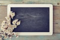 Branch with framed blackboard Royalty Free Stock Photo