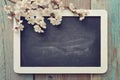 Branch with framed blackboard Royalty Free Stock Photo