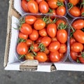 Branch of fresh cherry tomatoes in box, top view. Royalty Free Stock Photo