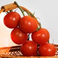 Branch of fresh cherry tomatoes close - up on isolated white background Royalty Free Stock Photo