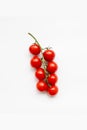 Branch of fresh cherry tomatoes on a white background Royalty Free Stock Photo