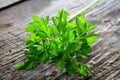 Branch of fresh green parsley Royalty Free Stock Photo