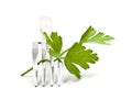 Branch of fresh parsley on the fork Royalty Free Stock Photo