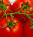 Branch of fresh red tomatoes. Photo depicts a bright colorful na Royalty Free Stock Photo