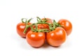 A branch of fresh red tomatoes with water drops isolated on white background Royalty Free Stock Photo