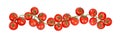 Branch with fresh ripe cherry tomatoes on white background, banner design Royalty Free Stock Photo