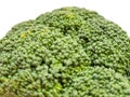 Branch of fresh tasty green broccoli cabbage, Broccoli isolated on white background Royalty Free Stock Photo