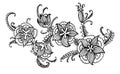 Branch garland of beautiful flowers graphic illustration