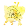 Branch of ginkgo at watercolor background