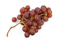 Branch Grapes Overhead View