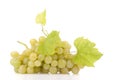 Branch of green grapes Royalty Free Stock Photo