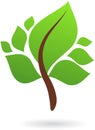 A branch with green leaves - nature logo / icon