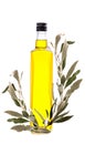 Branch with green olives and a bottle of olive oil isolated on w Royalty Free Stock Photo