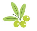 Branch of green olives icon