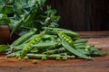 A branch of green peas with pods on a wooden table close-up, harvest from the garden Royalty Free Stock Photo