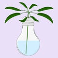 A branch of a green plant in a lamp-shaped vase Royalty Free Stock Photo