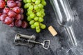 A branch of green and red grapes, a bottle, a corkscrew, and a cork. Concept of wine-making. Black background. Top view Royalty Free Stock Photo