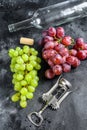 A branch of green and red grapes, a bottle, a corkscrew, and a cork. Concept of wine-making. Black background. Top view Royalty Free Stock Photo