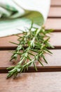 Branch of green rosemary. Royalty Free Stock Photo