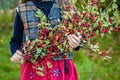 A branch of hawthorn in the hands of a cute girl in the garden. Royalty Free Stock Photo