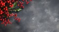 Branch of Holly With Red Berries and Green Leaves Royalty Free Stock Photo