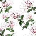 Branch honeysuckle. Seamless pattern. Collage of flowers and leaves. Watercolor.