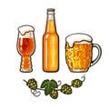 Branch of hop, big mug full of beer with foam and bubbles, bottle and IPA beer glass. Vector illustration