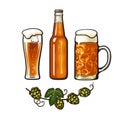 Branch of hop, big mug full of beer with foam and bubbles, bottle and Weizen beer glass. Vector illustration