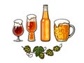Branch of hop, mug full of beer with foam and bubbles, bottle, beer glasses. Vector illustration