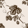 Branch of hops hand drawn seamless pattern vector Royalty Free Stock Photo