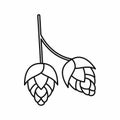Branch of hops icon, outline style Royalty Free Stock Photo