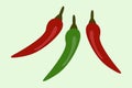 Branch of hot chili pepper red and green color, isolated vector image,. Healthy food vegetarian