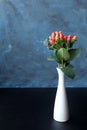 Branch of Hypericum plant or Hypericum Magical Triumph, red hypericum berries in vase on the table. Royalty Free Stock Photo