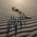 The branch and its shadow create a contrast with the subtle gradients in the Royalty Free Stock Photo