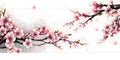Branch of Japanese cherry blossoms with beautiful flowers. Sakura. Royalty Free Stock Photo
