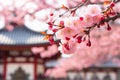 Branch with Japanese pink cherry flower blossom with blurry Asian temple building entrance gate in background Royalty Free Stock Photo