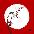 Branch of japanese sakura cherry in blossom and white circle on red background. Traditional oriental ink painting sumi-e Royalty Free Stock Photo