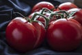 A branch with juicy, ripe, bright red tomatoes lies on a black fabric background, in natural light from the window Royalty Free Stock Photo