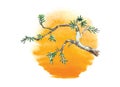 Branch of juniper tree against the sun, vector