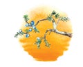 Branch of juniper tree against the sun, vector Royalty Free Stock Photo