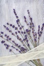 Branch of Lavender on wooden textural surface with band. Copy space. Natural background Royalty Free Stock Photo