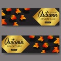 Leaves autumn fall background.sale offer banner template. vector illustration