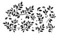 Branch, leaves black silhouettes set. Isolated on white background hand drawn. Not AI . Vector illustration Royalty Free Stock Photo