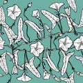 Branch with leaves buds and flowers bindweed floral seamless pattern Leaves contours on light green blue background hand-drawn.