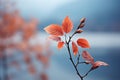 a branch with leaves in front of a lake Royalty Free Stock Photo