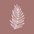 Branch with leaves of tropical plants. Outline Palm leaf In a Modern Minimalist Style. Vector Illustration